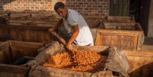 ACTÍVA-T por el Empleo 2026