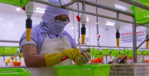 ACTÍVA-T por el Empleo 2025