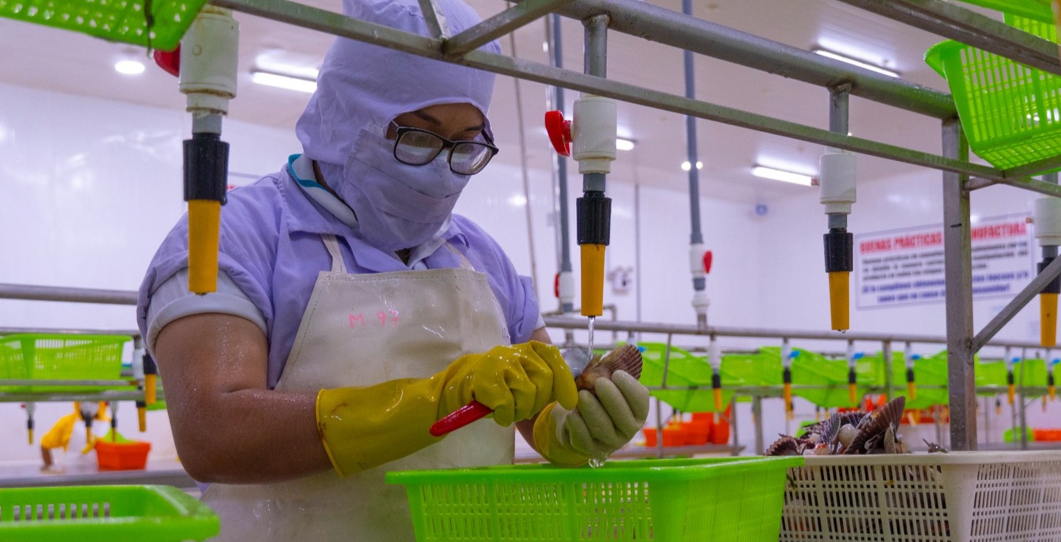 ACTÍVA-T por el Empleo 2025