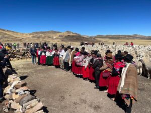 FONDOEMPLEO fortalece la cadena de valor de la fibra de alpaca